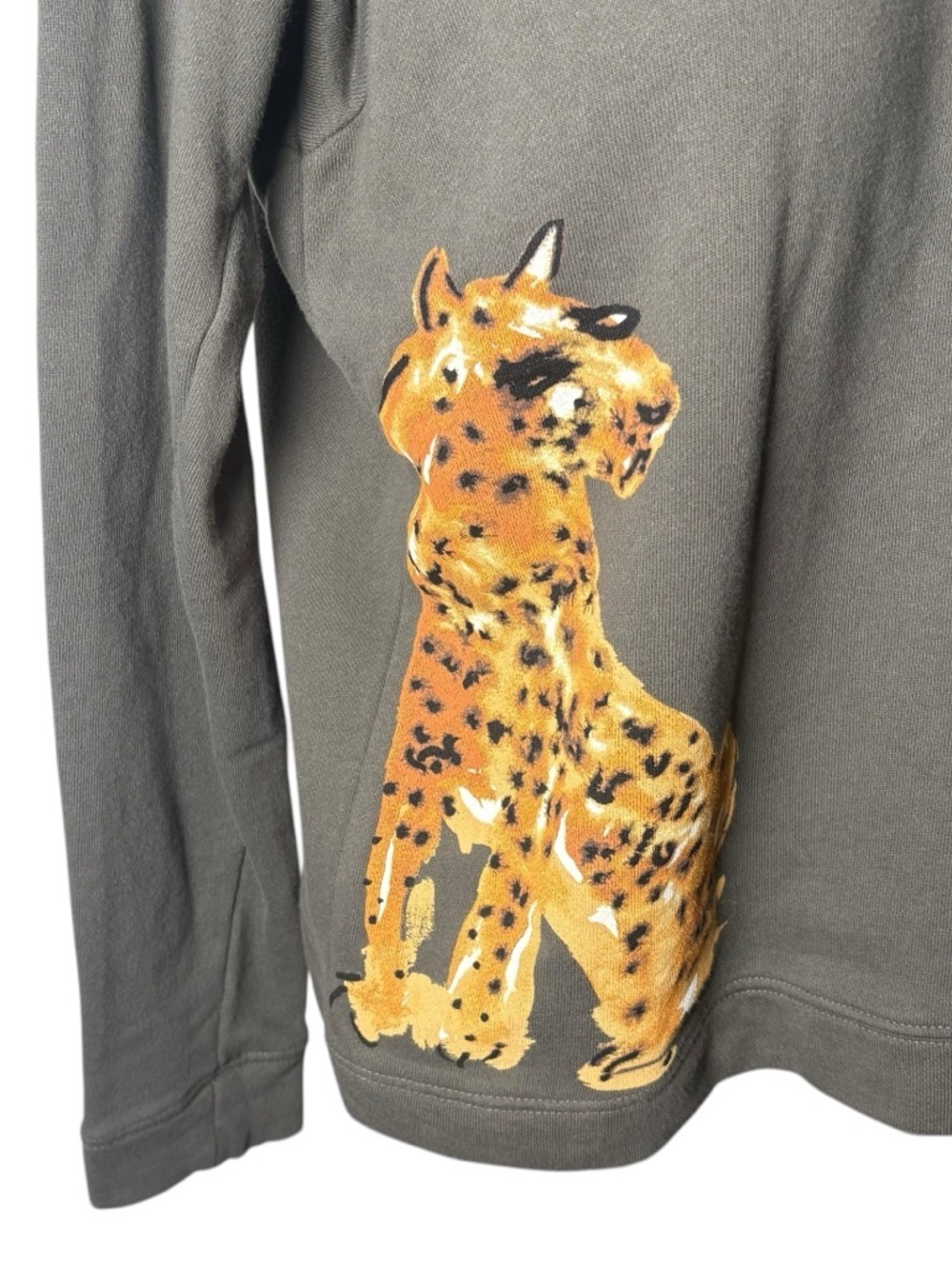 Anthropologie LouLou Avenue Cheetah Graphic Sweatshirt Boho Crewneck M Art - Picture 5 of 10